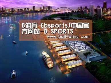 案例展示八