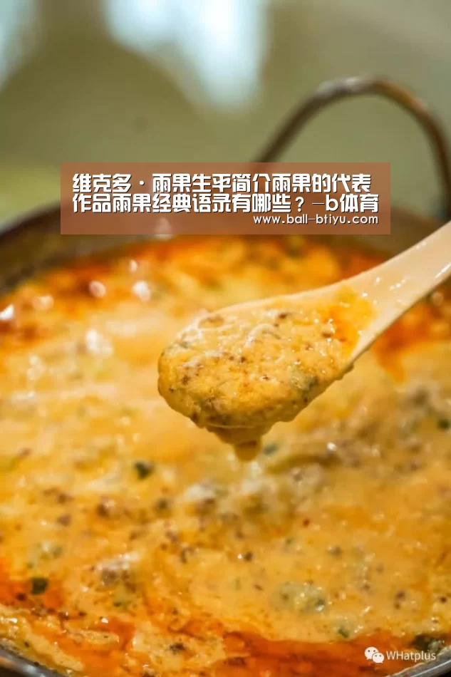 维克多·雨果生平简介雨果的代表作品雨果经典语录有哪些?-b体育官网(图1) b体育